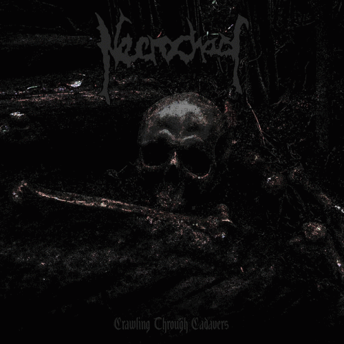 Necrochaos : Crawling Through Cadavers